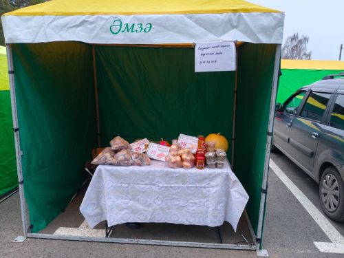 Нурлатские фермеры снова радуют казанцев свежими продуктами на ярмарке в «Салават Купере»