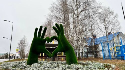 20 ноября: Праздники здоровья, мудрости и транспорта