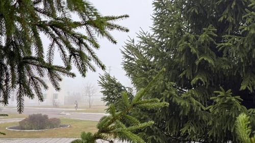 В Татарстане 21 ноября ожидаются туман и гололедица