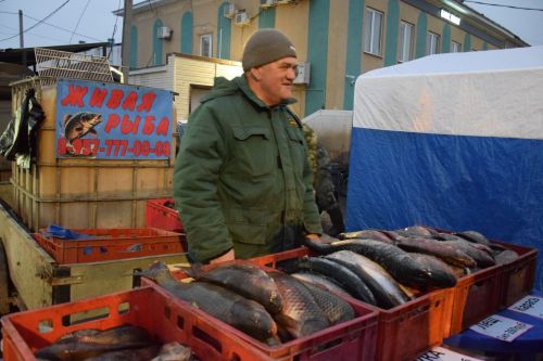 В Нурлате проходит сезонная сельскохозяйственная ярмарка, приуроченная к декаде инвалидов