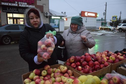 В Нурлате проходит сезонная сельскохозяйственная ярмарка, приуроченная к декаде инвалидов