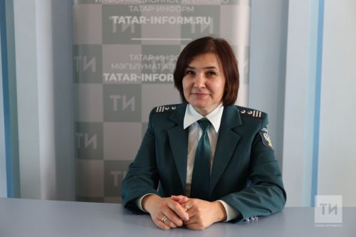 Веб-инструкция УФНС по налогам-2026 от Эльмиры Хамидуллиной
