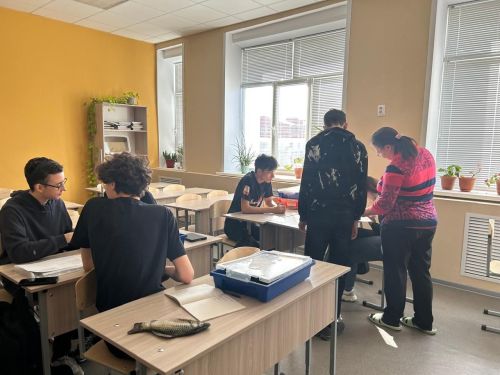 Нурлатские выпускники усиленно готовятся к ОГЭ и ЕГЭ во время каникул