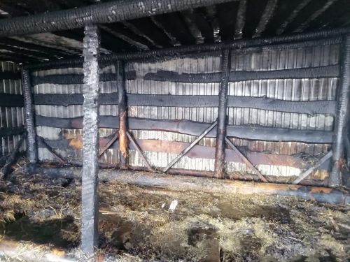 В Нурлатском районе спасатели потушили горящий сарай с животными