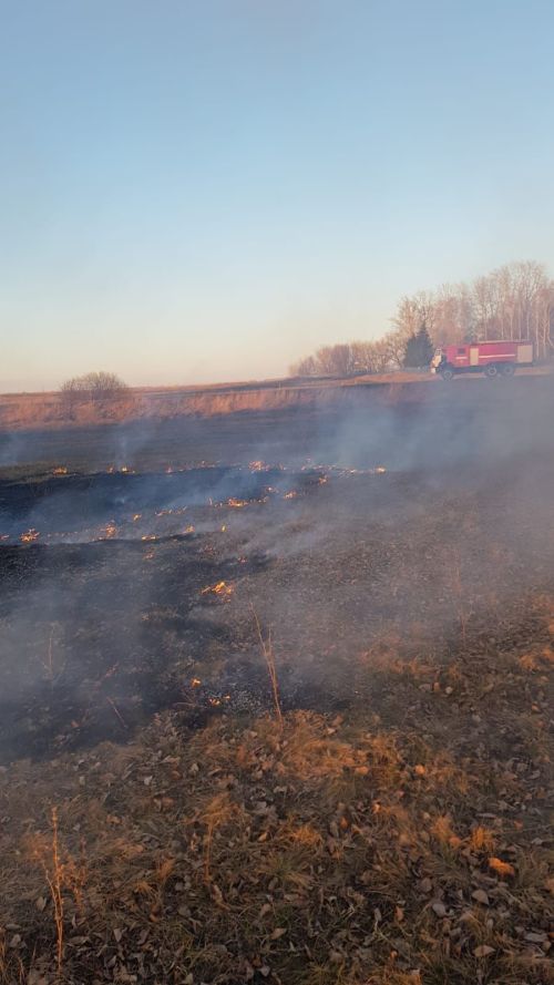 Пожарные ликвидировали возгорание сухой травы в Нурлате
