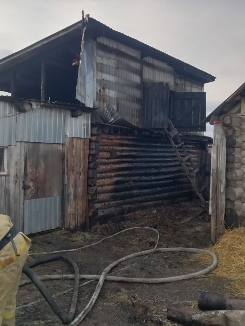 В Нурлатском районе спасатели потушили горящий сарай с животными