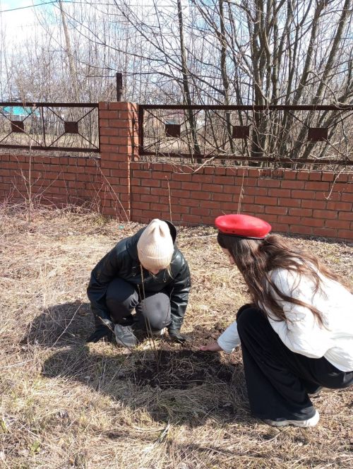 Ученики Мамыковской школы посадили деревья в честь павших героев
