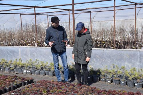700 000 цветов для Нурлата: как семья Блиновых превращает город в цветущий сад