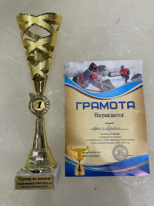 Нурлатский «Ледок» победил в открытом турнире по хоккею в Чистополе