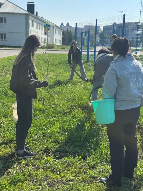 Сотрудники Нурлатского исполкома высадили 100 деревьев в рамках акции «Сад памяти»
