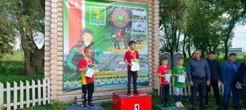 Юные нурлатские борцы снова радуют болельщиков своими успехами