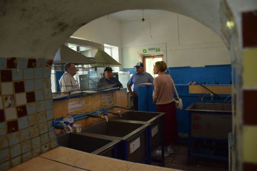 Глава Нурлатского района ознакомился с подготовкой детского лагеря «Заречный» к летнему сезону