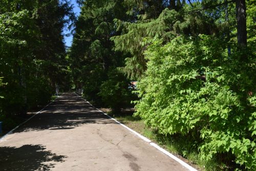 Глава Нурлатского района ознакомился с подготовкой детского лагеря «Заречный» к летнему сезону