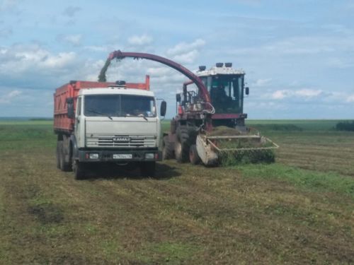 В Нурлатском районе продолжается заготовка кормов