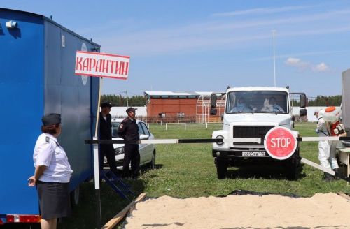 В Татарстане ввели карантин по бешенству – уже 11-й случай за год