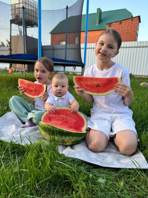 3 августа – День арбуза: лето в каждом ломтике