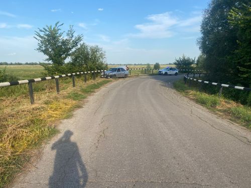 Халатность на дороге: дети в опасности из-за беспечности матери
