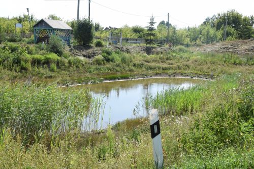 Уникальный парк в Чулпанове: арт-объекты, отдых и гордость села