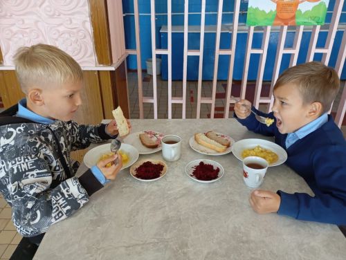 Родители Нурлатского района контролируют качество школьного питания