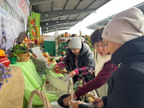 Нурлатские педагоги и студенты блестяще представили район на республиканской ярмарке «Город мастеров-2025»