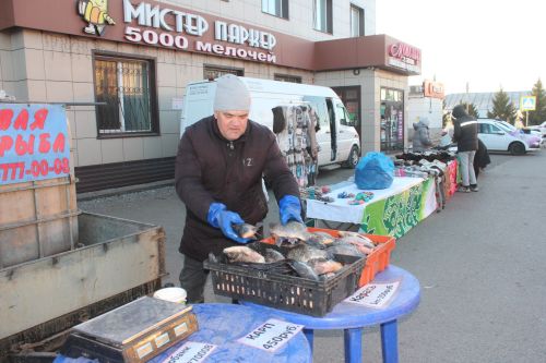 Очередная сельхозярмарка прошла в Нурлате