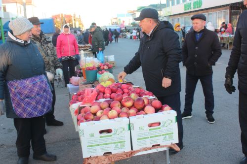 Очередная сельхозярмарка прошла в Нурлате