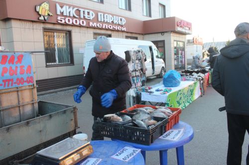 Очередная сельхозярмарка прошла в Нурлате