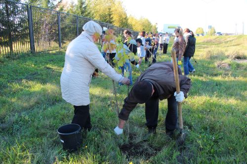 В Нурлате прошла природоохранная акция «Сохраним лес»