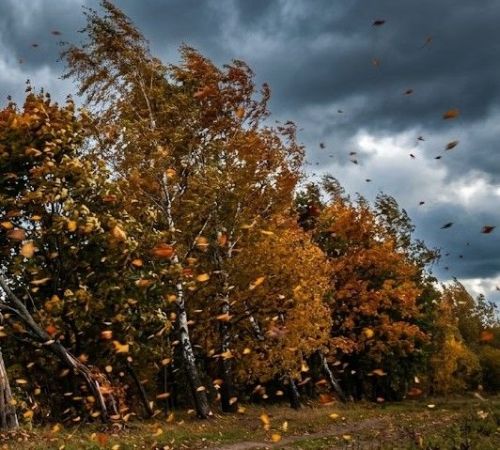Вниманию жителей и гостей Нурлатского района: объявлено штормовое предупреждение