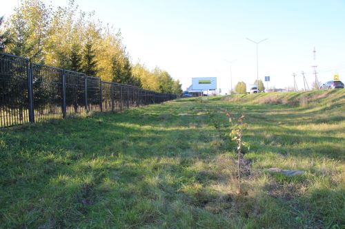 В Нурлате прошла природоохранная акция «Сохраним лес»
