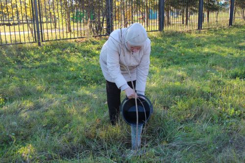 В Нурлате прошла природоохранная акция «Сохраним лес»