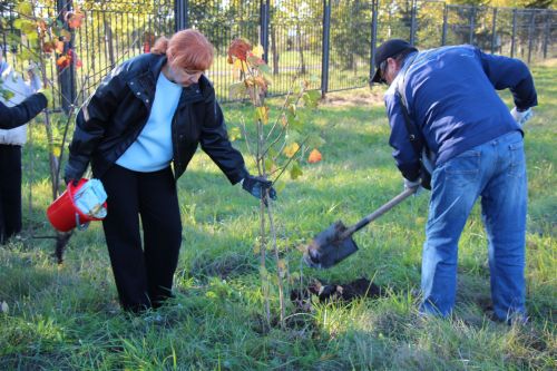 В Нурлате прошла природоохранная акция «Сохраним лес»