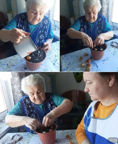 Огород на подоконнике: в «Гармонии» встречают весну задолго до календаря
