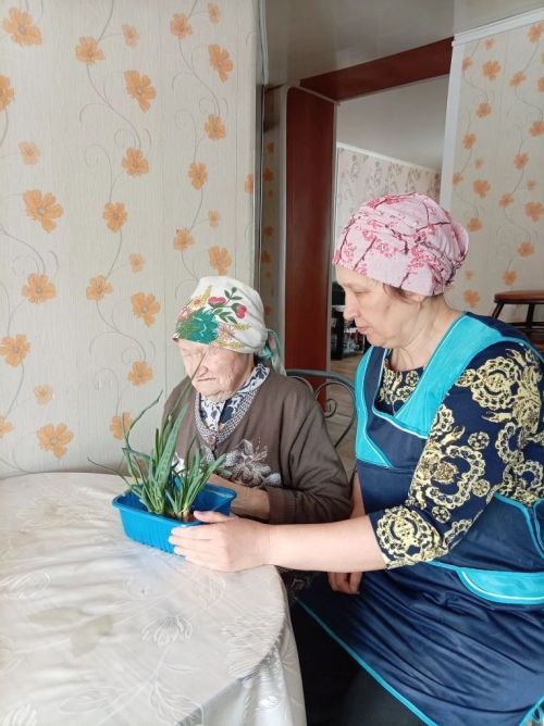 Огород на подоконнике: в «Гармонии» встречают весну задолго до календаря