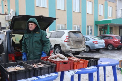 Первая сельскохозяйственная ярмарка в Нурлате собрала сотни горожан