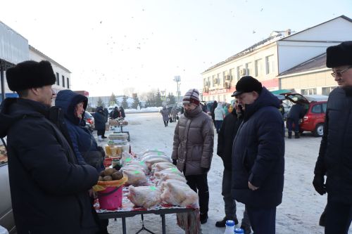 Первая сельскохозяйственная ярмарка в Нурлате собрала сотни горожан