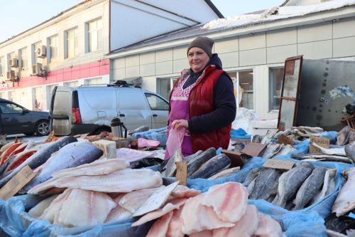 Первая сельскохозяйственная ярмарка в Нурлате собрала сотни горожан
