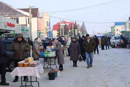 Первая сельскохозяйственная ярмарка в Нурлате собрала сотни горожан