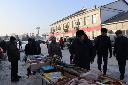 Первая сельскохозяйственная ярмарка в Нурлате собрала сотни горожан
