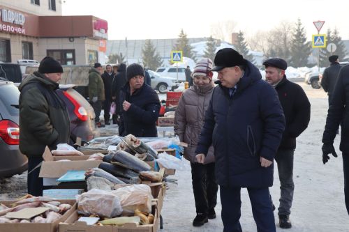Первая сельскохозяйственная ярмарка в Нурлате собрала сотни горожан