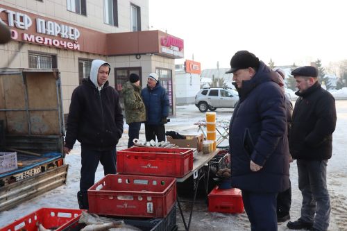 Первая сельскохозяйственная ярмарка в Нурлате собрала сотни горожан