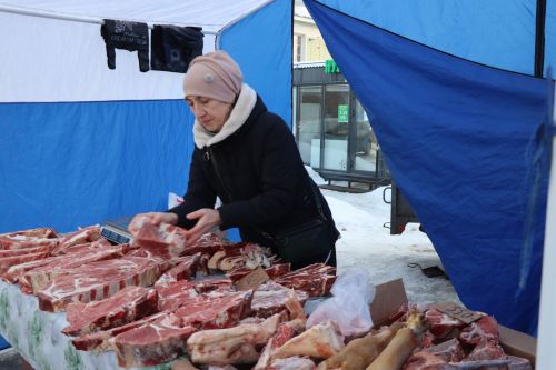 Первая сельскохозяйственная ярмарка в Нурлате собрала сотни горожан