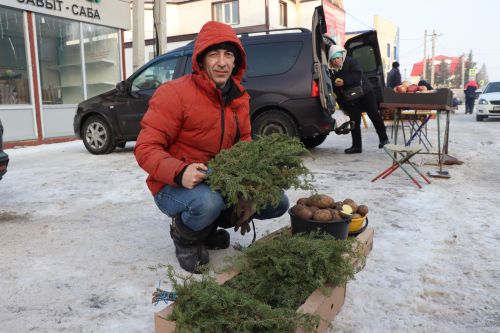 Первая сельскохозяйственная ярмарка в Нурлате собрала сотни горожан