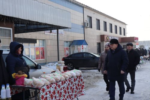 Первая сельскохозяйственная ярмарка в Нурлате собрала сотни горожан