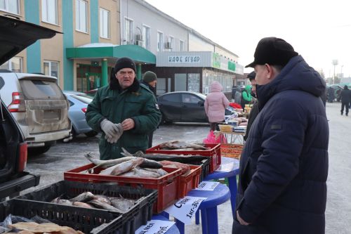 Первая сельскохозяйственная ярмарка в Нурлате собрала сотни горожан