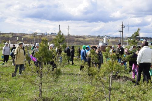 Ландшафтный парк «Кондурча» преобразился: в Нурлате прошел масштабный субботник