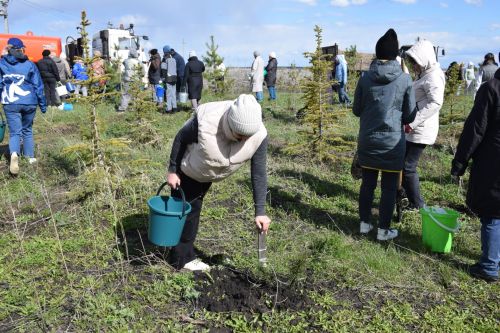 Ландшафтный парк «Кондурча» преобразился: в Нурлате прошел масштабный субботник