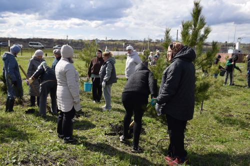 Ландшафтный парк «Кондурча» преобразился: в Нурлате прошел масштабный субботник