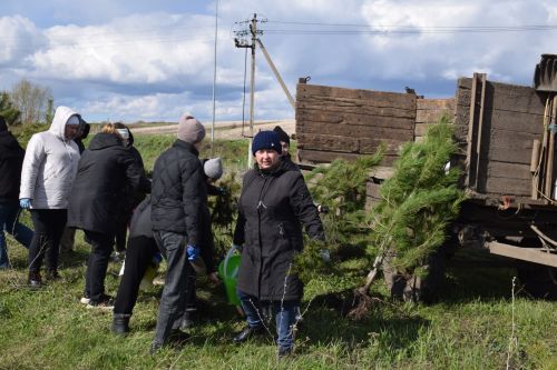 Ландшафтный парк «Кондурча» преобразился: в Нурлате прошел масштабный субботник