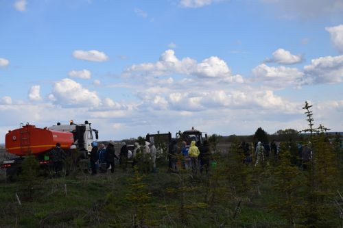Ландшафтный парк «Кондурча» преобразился: в Нурлате прошел масштабный субботник
